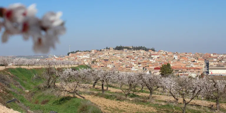 Els arbres fruiters floreixen 15 dies abans que fa 50 anys a causa del canvi climàtic