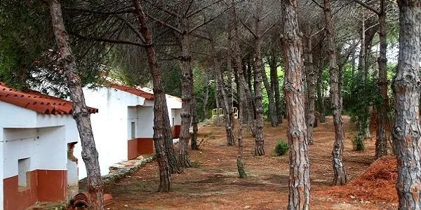L’Escola de Naturalistes El Corriol del Gepec enceta el seu programa d’activitats a la Finca Canyadell d’Altafulla