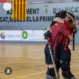 L'HC Alpicat femení, a un pas de l'ascens A LA MÀXIMA CATEGORIA ESTATAL - episode art