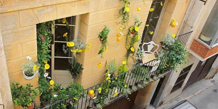 L’Arenys de Flors tanca inscripcions amb 42 participants
