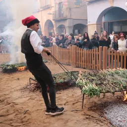 Reportatge Gran Festa de la Calçotada - episode art