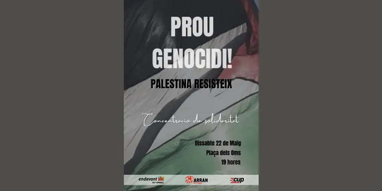 Concentració a la Seu en suport a Palestina