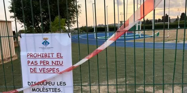 Un niu de vespes obliga a desallotjar i tancar la pista d’atletisme de Torredembarra
