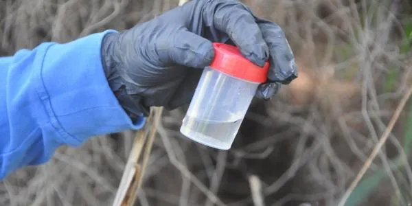 L'Ajuntament de Torredembarra reprèn els tractaments setmanals contra els mosquits