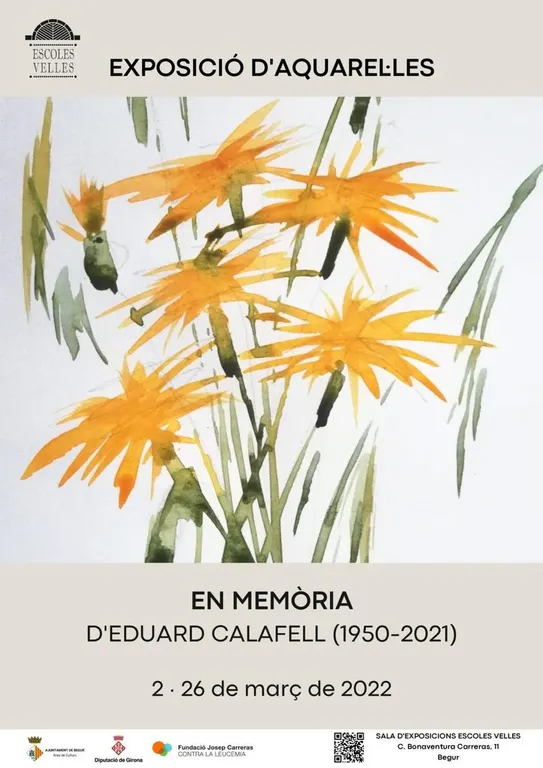 SALA D'EXPOSICIONS ESCOLES VELLES