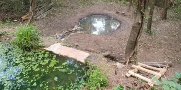La Sínia presenta aquest divendres el quadern de l’Hort de les Salamandres de Querol