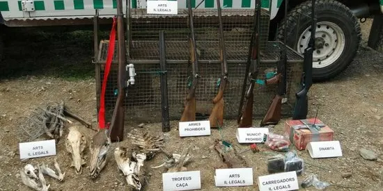Operatiu dels Agents Rurals contra la caça furtiva al Pallars Sobirà