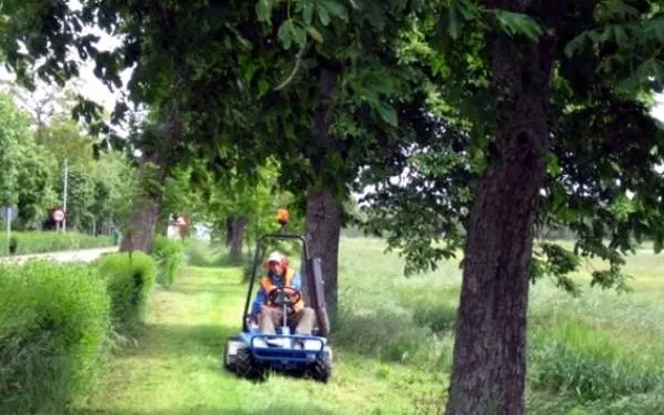 Foto: ECOSIL