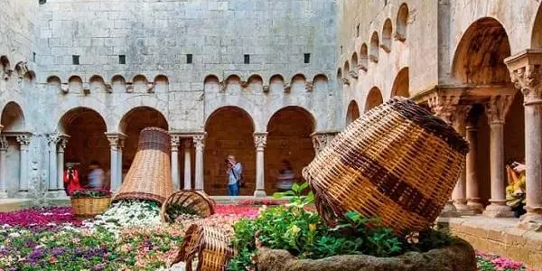 L'Ateneu de Dones d'Altafulla es prepara per gaudir del ‘Girona Temps de Flors’