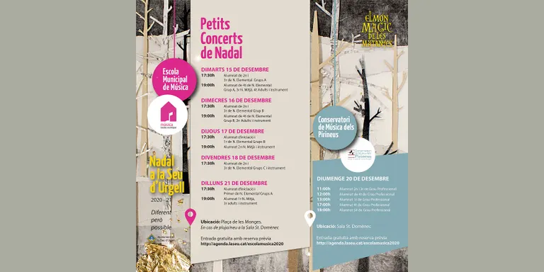 Petits concerts de Nadal a càrrec de l'EMM de la Seu d’Urgell i el Conservatori de Música dels Pirineus