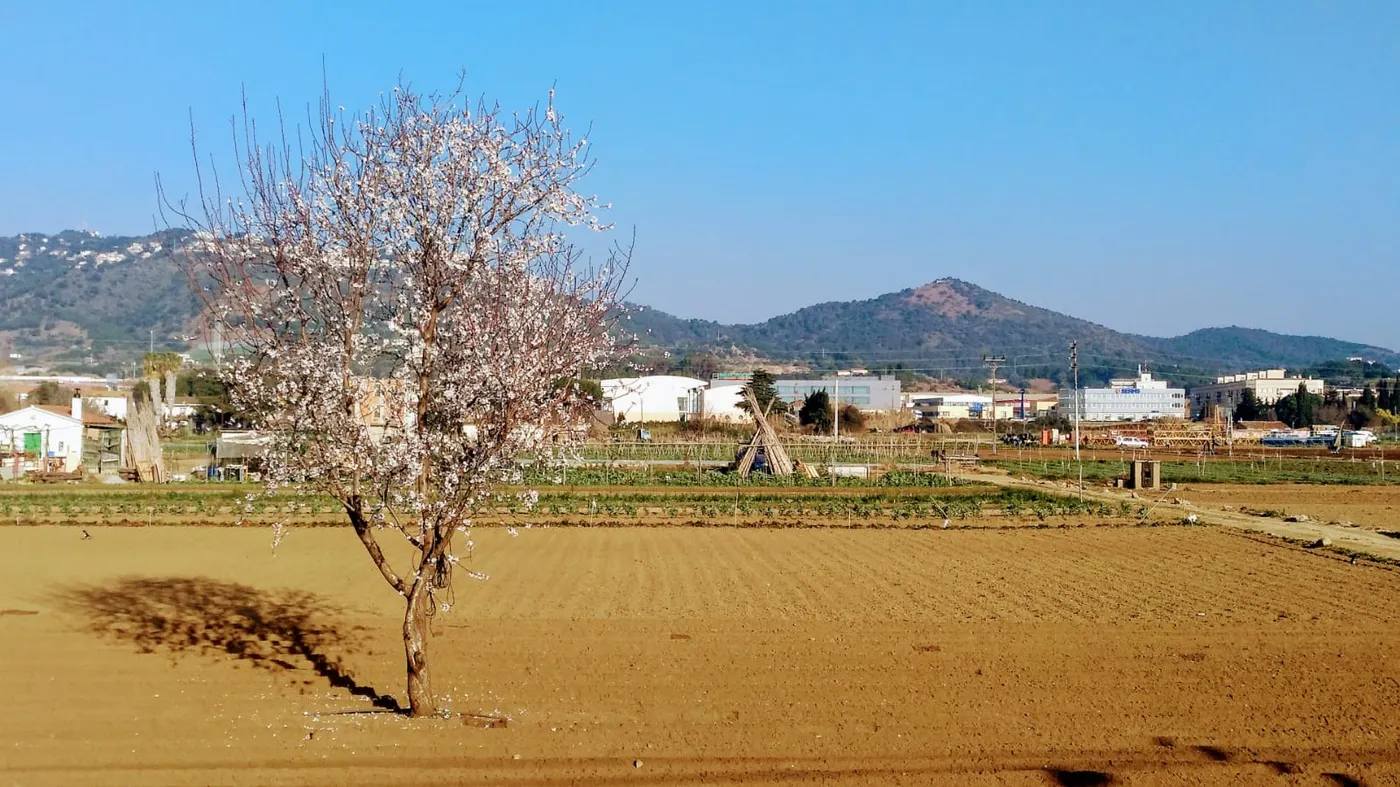 Dijous Llarder primaveral