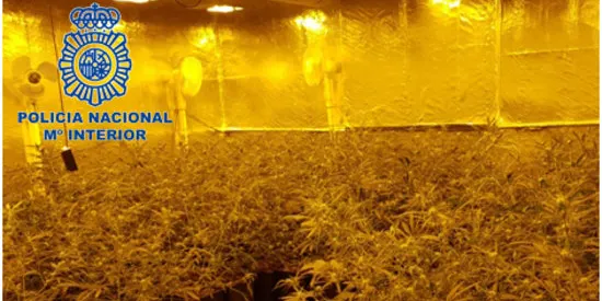 Desarticulen una organització serbi-bosniana dedicada al tràfic internacional d'haixix i marihuana