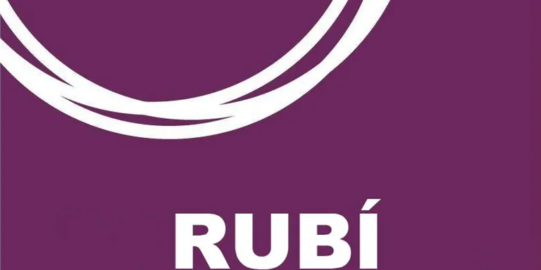 Podemos Rubí creu que "la credibilitat del govern ha arribat al seu mínim històric"