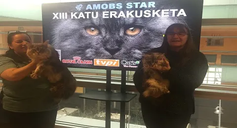 Exposición Internacional Felina