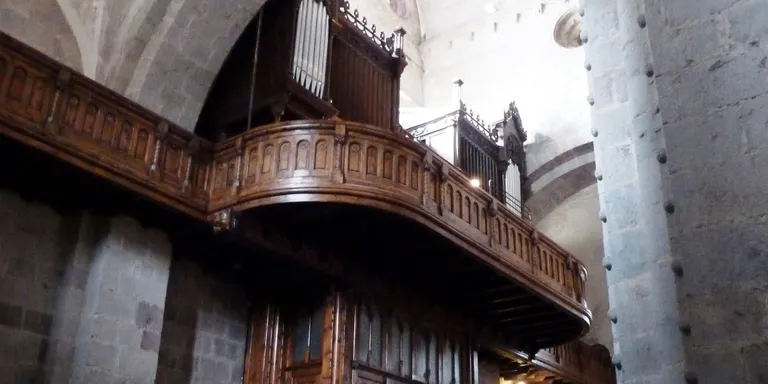 La Seu acollirà un concert del XIVè Festival Orgues de Ponent i del Pirineu