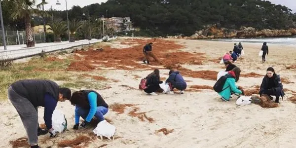 L’Associació Mediambiental la Sínia farà la recollida anual de residus i microplàstics a la platja de la Móra el 17 de setembre