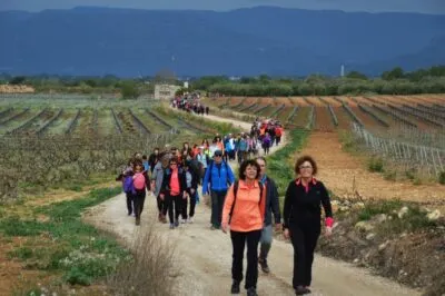 Més de 400 persones participen a la Caminada Popular del Patronat d’Esports