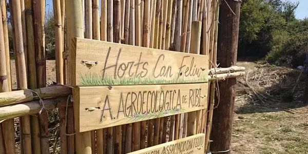 L’Assemblea d’Aturats de Rubí treballa un hort urbà a Can Feliu