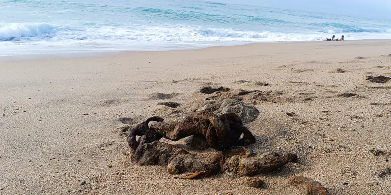 El temporal fa aparèixer 'morts' de les antigues barques dels pescadors de Pineda