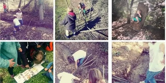 Recta final del verkami per construir el refugi de l'Escola Bosc El Saüc
