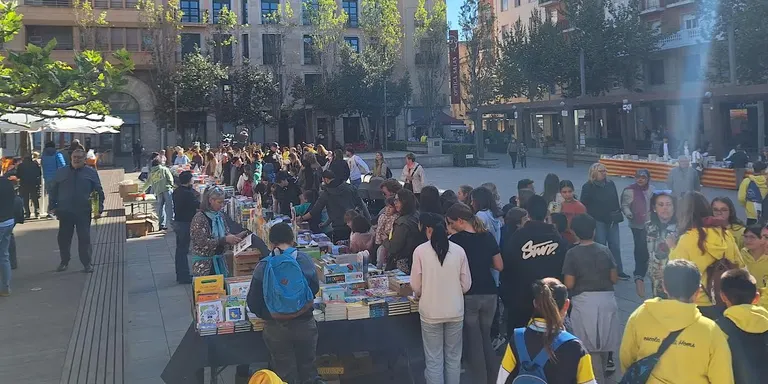 Dracs, llibres i roses s’exposen al carrer