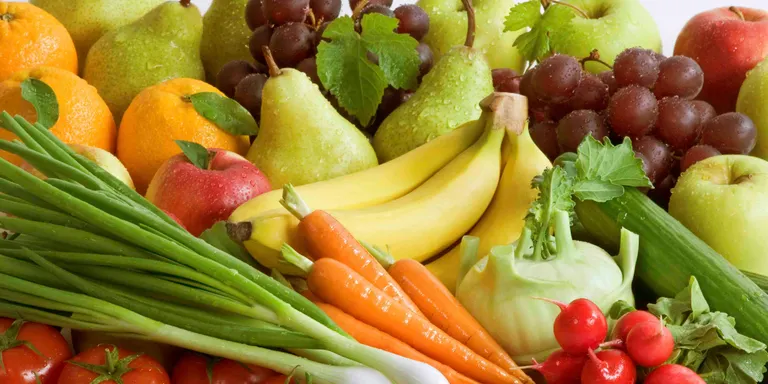 Babord debat sobre com defensar la sobirania alimentària