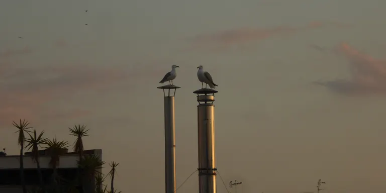 La temperatura mitjana del mes de febrer ha estat 3 graus més alta del que tocaria per l'època