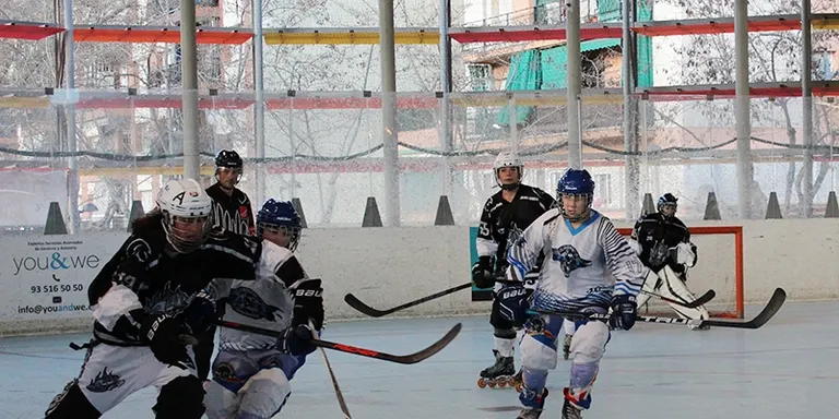 Final de fase regular amb derrotes del Cent Patins