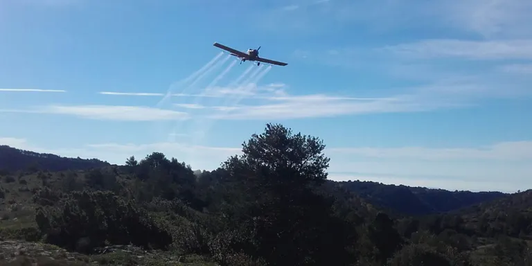 Tractament a l'Alt Urgell de la plaga de la processionària