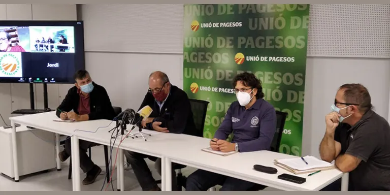 UP denuncia un nou increment de la diferència entre el preu que cobra el productor i el que paga el consumidor