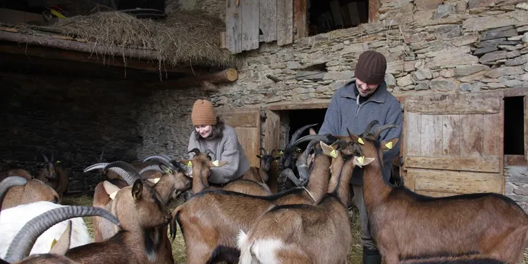 Una cinquantena de productors s'uneixen en la nova marca 'Origen Cerdanya Pirineus'