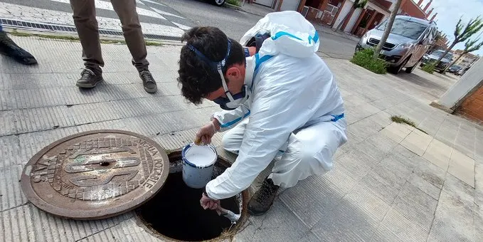 S’intensifiquen els tractaments preventius contra les paneroles