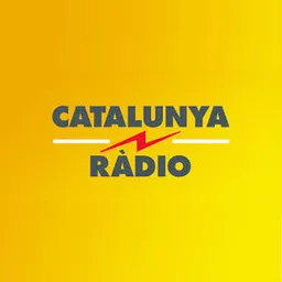 Informatius Cat.Info del 31/12/2014 - episode art