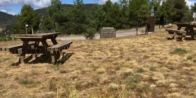 Xerrada i acció ambiental d'arrencada de seneci del Cap a la Vall de la Vansa