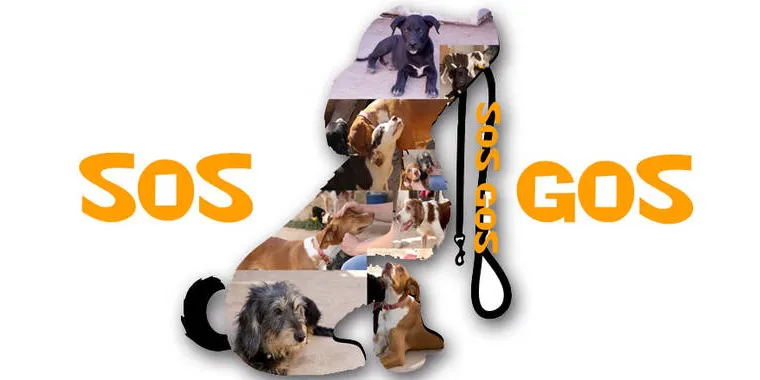 SOS GOS d'Alfarràs fa una crida per rebre ajuda aconòmica per garantir el benestar dels animals