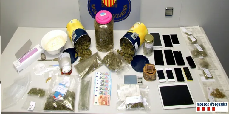 Els Mossos d’Esquadra detenen un home a Puigcerdà per vendre marihuana