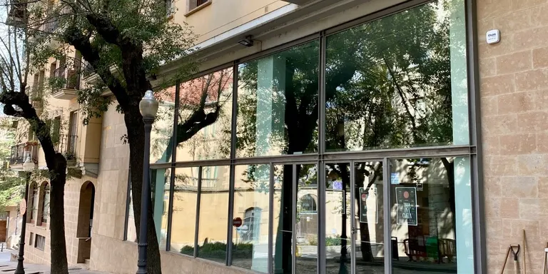 Talen vuit freixes de la vorera del Teatre Comarcal amb risc de caiguda