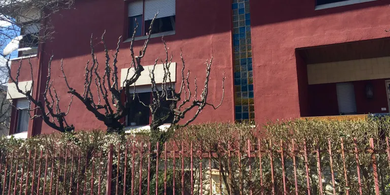 Una dona morta en un incendi en un habitatge de la Seu