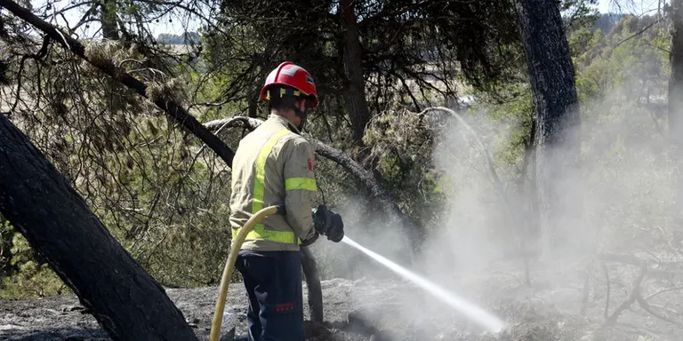 Detingut el responsable d'una vintena d'incendis a zones boscoses de Santa Eulàlia de Ronçana