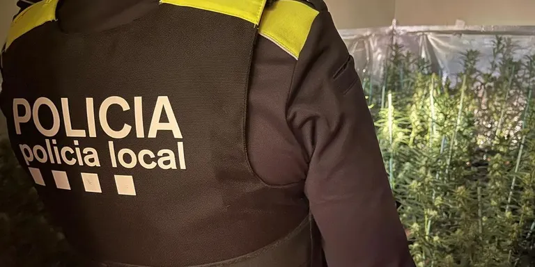 Dos detinguts per una plantació de cànnabis a Maçanet