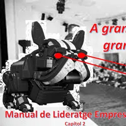 Manual de Lideratge Empresarial - Capítol II: ”A GRANS PROBLEMES, GRANS SOLUCIONS” - episode art