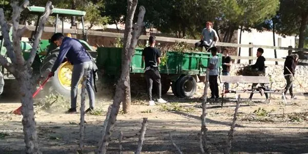 L’Ajuntament d’Altafulla treu la vegetació perimetral del parc de la Caputxeta i instal·larà una tanca que permetrà fer-lo més visible