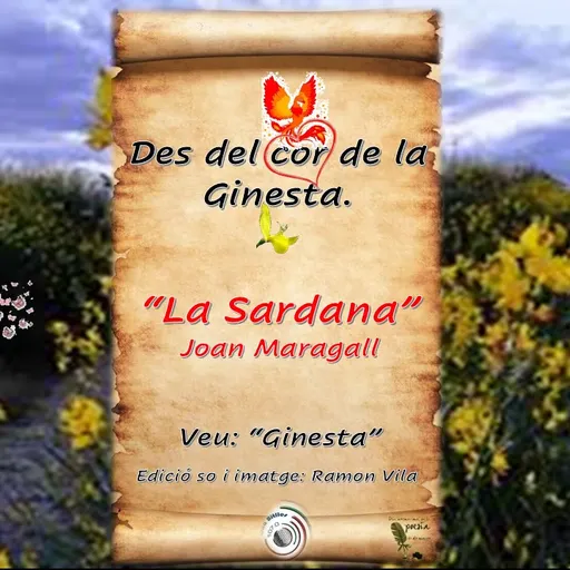 Des del cor de la “Ginesta”, ens enamorem de “La Sardana”. Un poema d’en Joan Maragall.