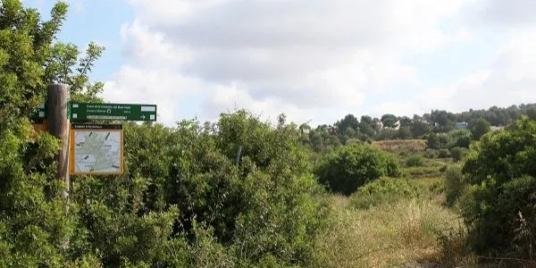 Es permetrà construir alguns habitatges amb PB+3 per fer viable econòmicament la promoció urbanística de Safranars