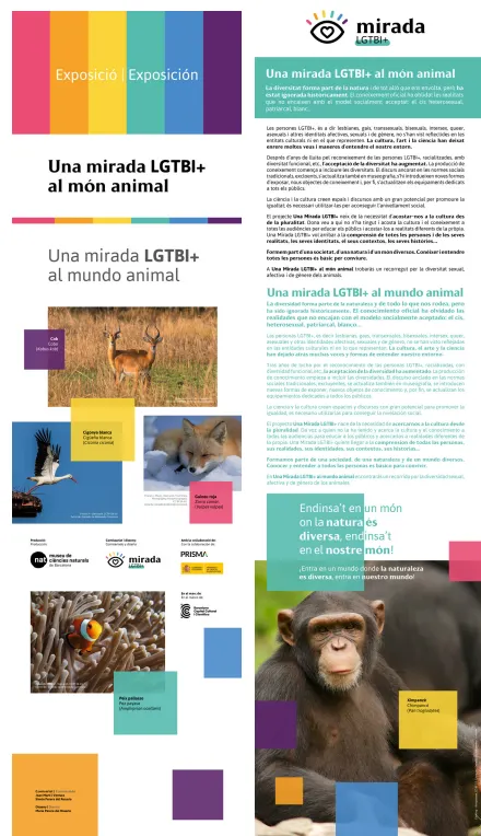 L'Ajuntament de Valls presenta l'exposició "Una mirada LGTBI+ al món animal