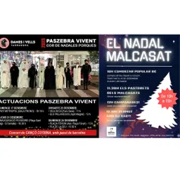 El Paszebra Vivent i el Nadal Malcasat - episode art