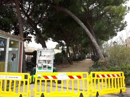 El Passeig dels Pins, tallat per la processionària