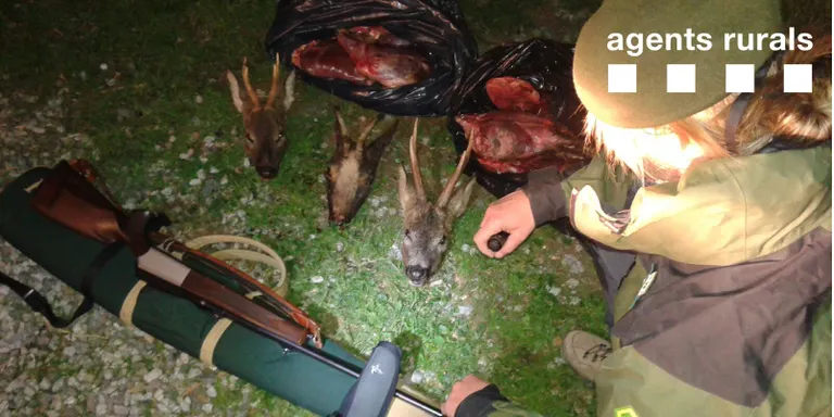 Els Agents Rurals enxampen un caçador furtiu a l'Alt Urgell