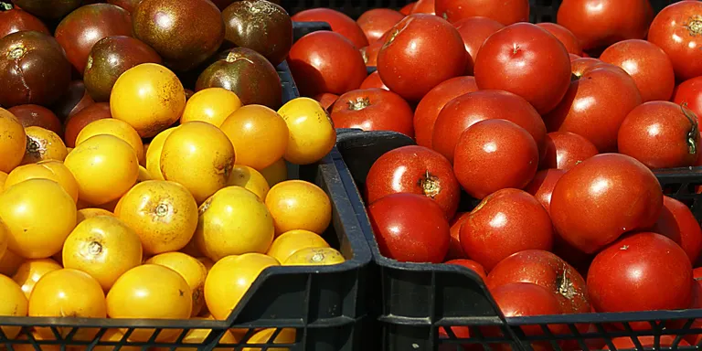 Tossa dona el tret de sortida a una fira de productes locals