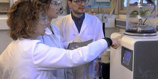 El programa Martí Franquès de la URV permetrà contractar 76 investigadors predoctorals